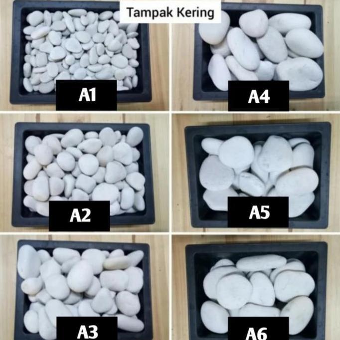 Gardenfil Batu Koral Pancawarna/Batu Koral Putih/ Batu Hias