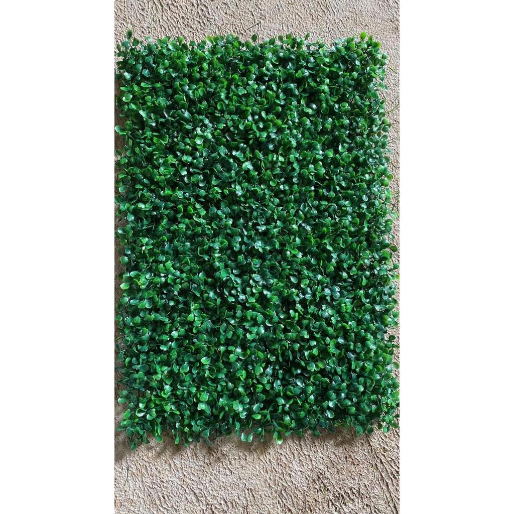 Dekdok- Tanaman Sintetis Rambat - Daun Sintetis Dolar - Tanaman Dolar Sintetis