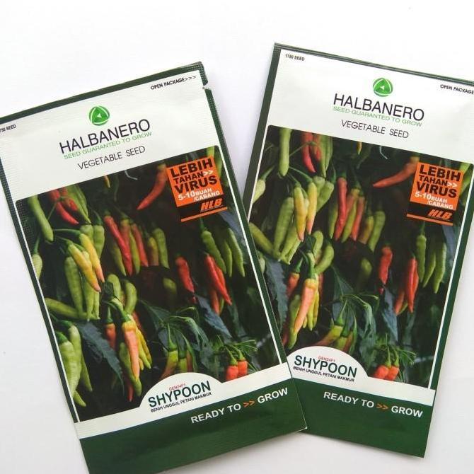 Thebest- BENIH CABE SHYPOON CABAI SHYPOON (SHYPON SIPON)