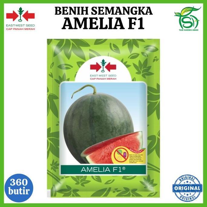 Thebest- Benih AMELIA F1 (360 Biji) - Bibit Semangka Non Biji Cap Panah Merah