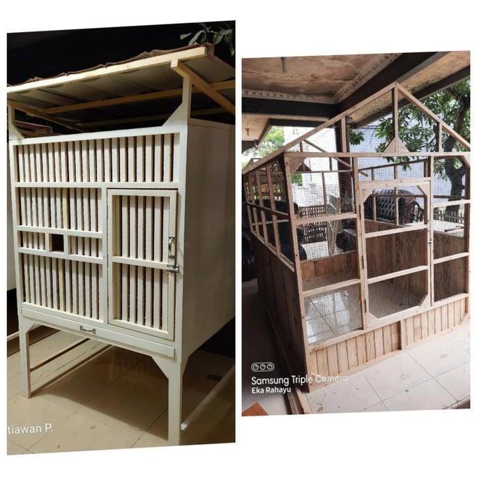 kandang umbaran + kandang bok jumbo