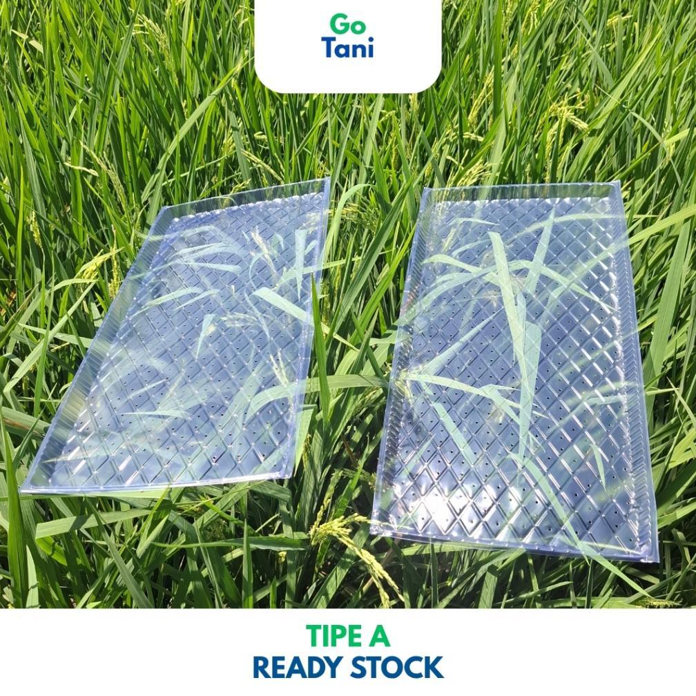 Promo Cod Ya Kak ( Tipe A ) Tray Semai Benih Padi / Tray Semai Padi / Wadah Semai Padi / Tray Semai 