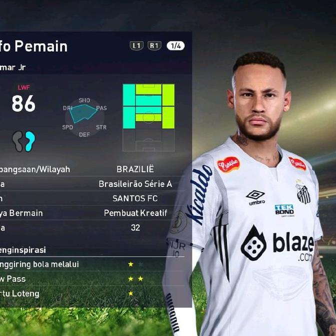 DAENG PATCH PC & PS4Hen + Hdd 250gb usb 3.0