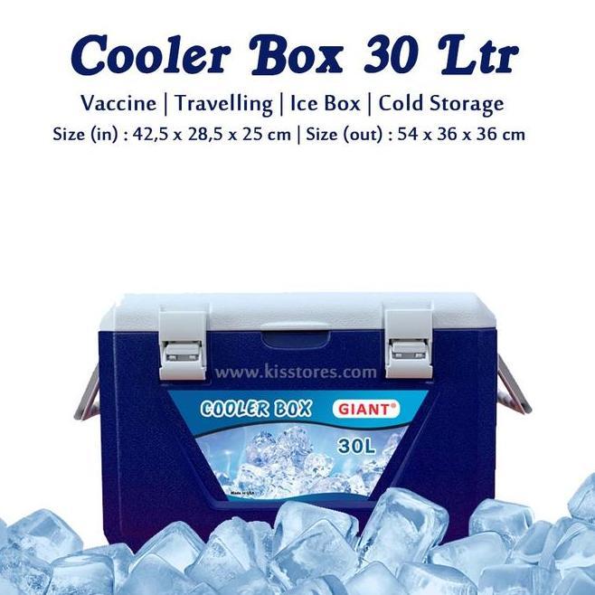 Cooler Box Penyimpan Minuman Dingin 30 Liter 60 Liter Box Pendingin