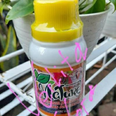 Pupuk Cair Aglonema Nature