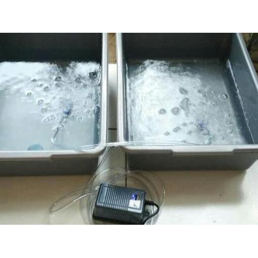 Fishbou- Paket Lengkap Aerator Amara 1 Lubang Cabang 2 Output Untuk Aquarium