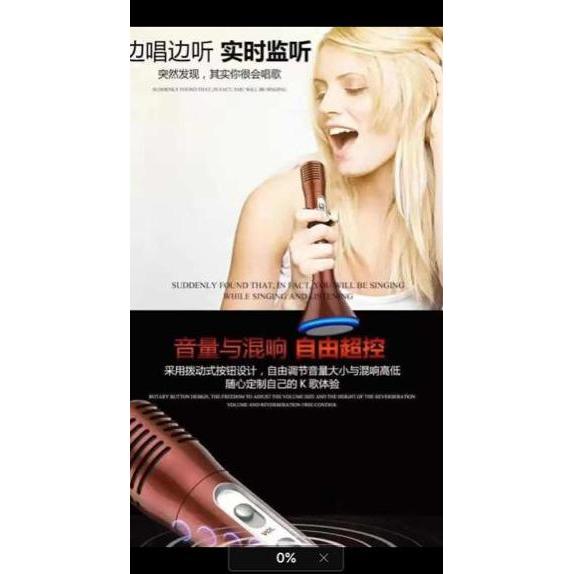 Portable Microphone Wireless Karaoke Speaker