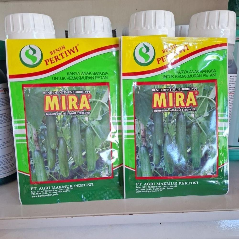 Bisa Cod Ya Kak Bibit Timun Mira F1 Pertiwi 25Gr ....