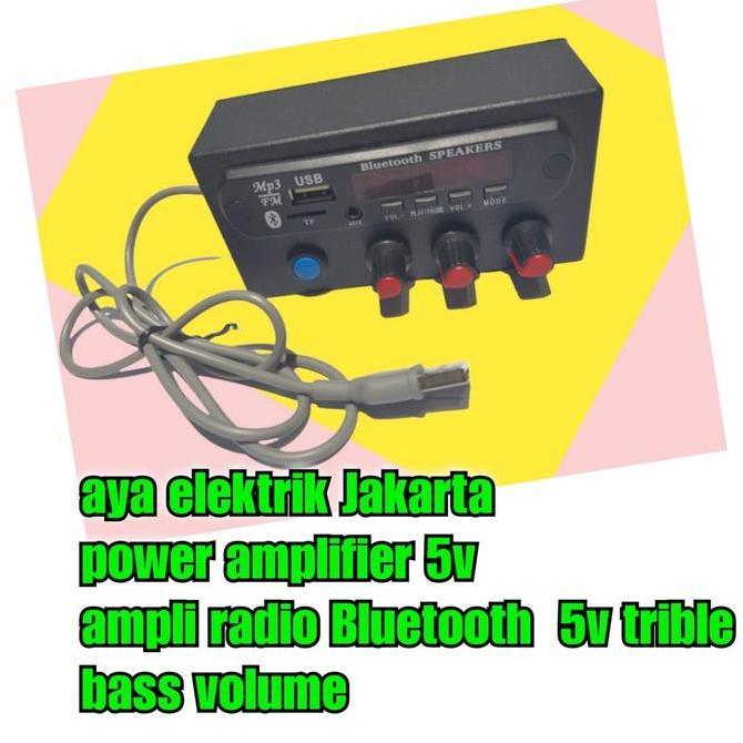 Bestone- AYABDG Amplifier Bluetooth 5volt / Power Amplifier mini rakitan 5v DC