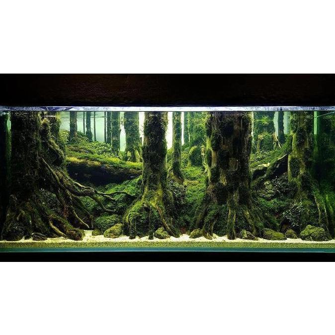 Nickz aquascape dekorasi fullset jungle 120 cm