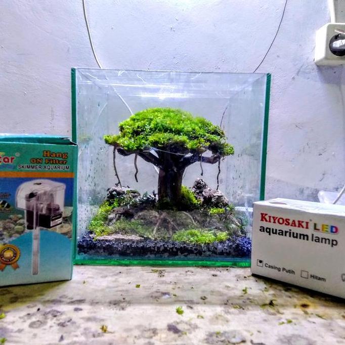 aquascape mini full set
