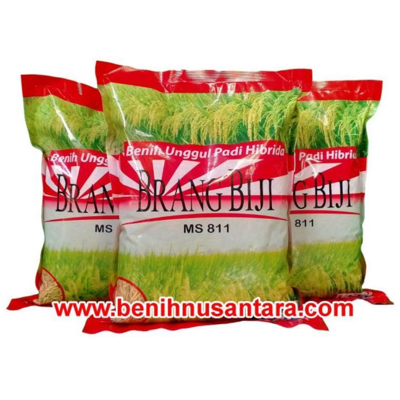 Bisa Cod Padi Hibrida Brang Biji Hasil 14 Ton/Ha >>