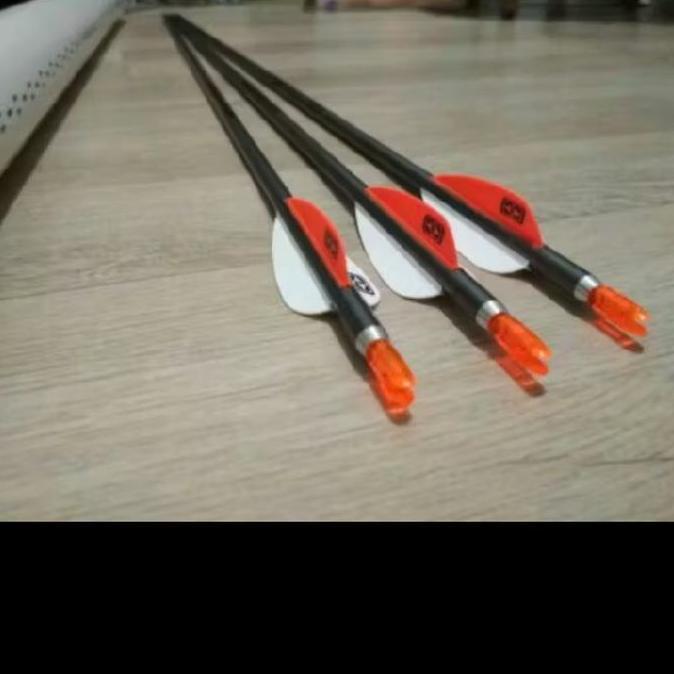 6 pcs Arrow platinum easton