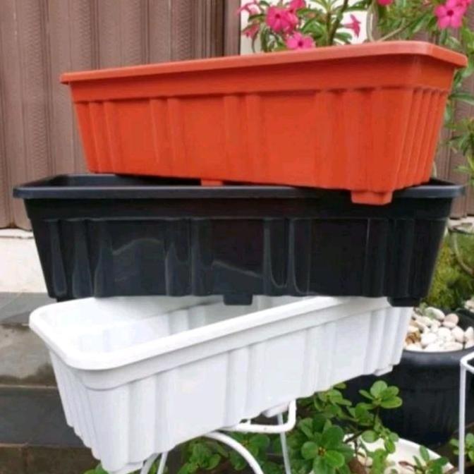 Taman- Pot Bunga Begonia Panjang Putih