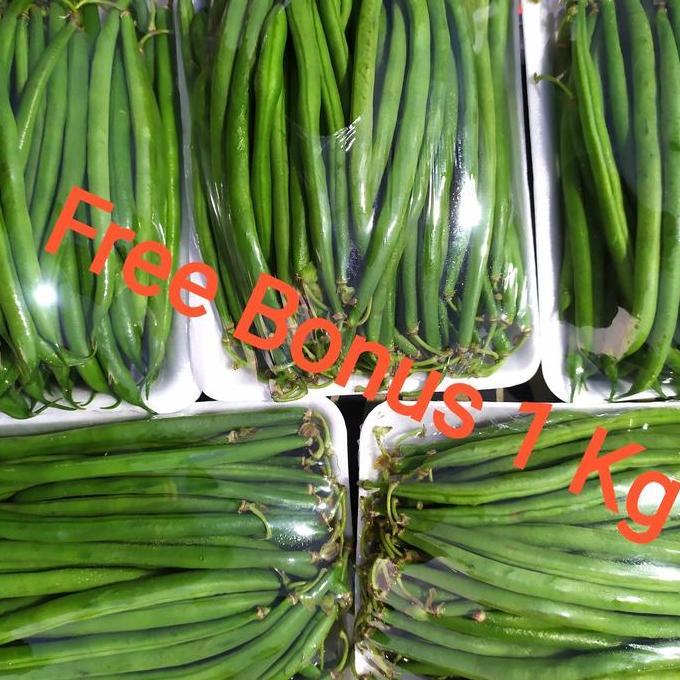 Lapakkita- Buncis Kenya | Buncis Baby Kenya 250Gr/Pck + Gratis Bonus