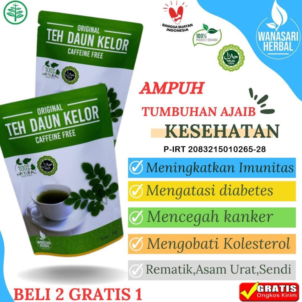 TEH DAUN KELOR MORINGA ORIGINAL 100% MURNI TEH DAUN KELOR CELUP MORINGA DAUN KELOR DAUN KELOR MURNI