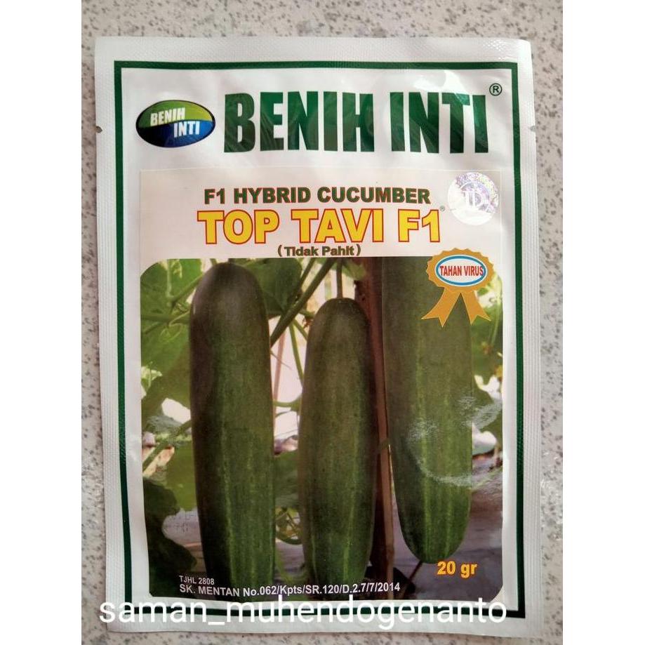 PROMO Benih Timun Tahan Virus TOP TAVI F1 20 Gram  Benih Inti - Bibit Ketimun Mentimun TOP TAVI