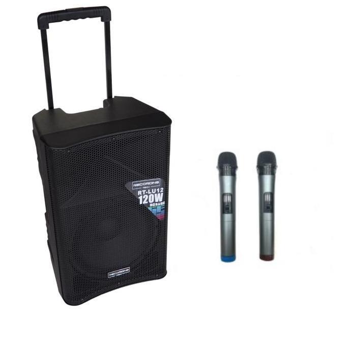 TERLARIS RECORDING TECH LU12 PORTABLE + 2 MIC UHF BMJ