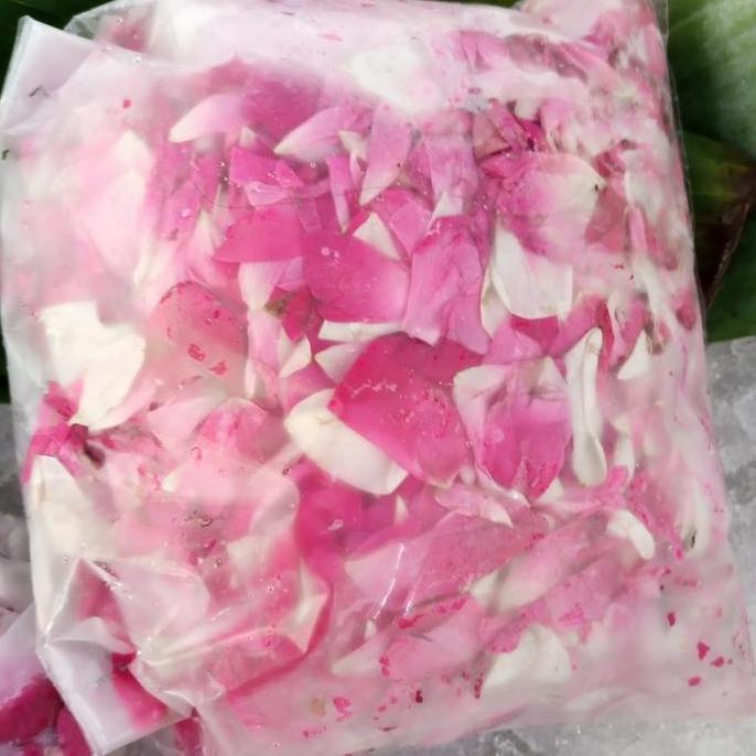 Flowandbe- Mawar Kampung Wangi / Mawar Wangi / Mawar Tabur