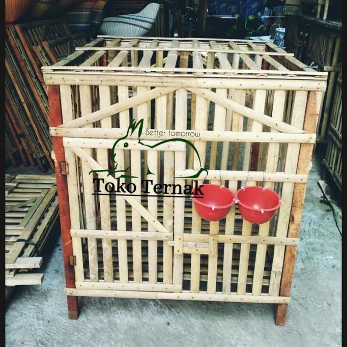 kandang ayam bongkar pasang