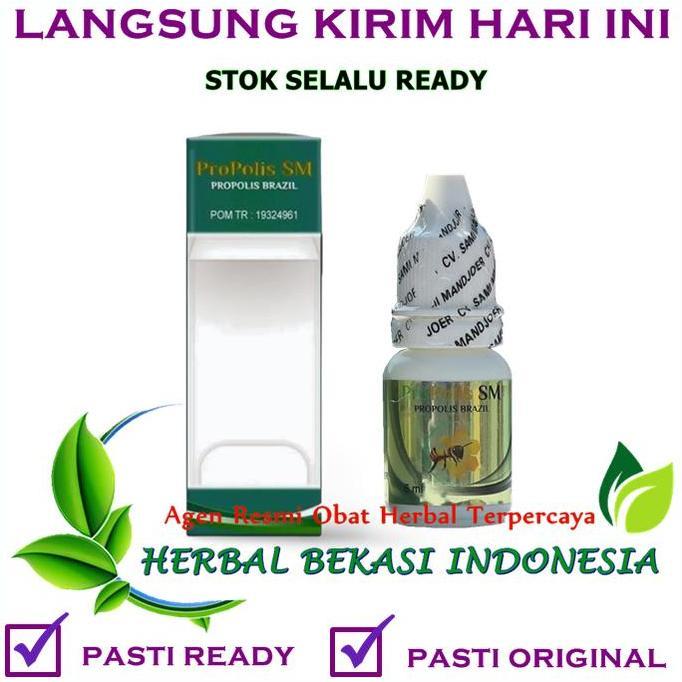 Obat Kumur Sakit Gigi - Gusi Bengkak - Gigi Berlubang - Propolis SM