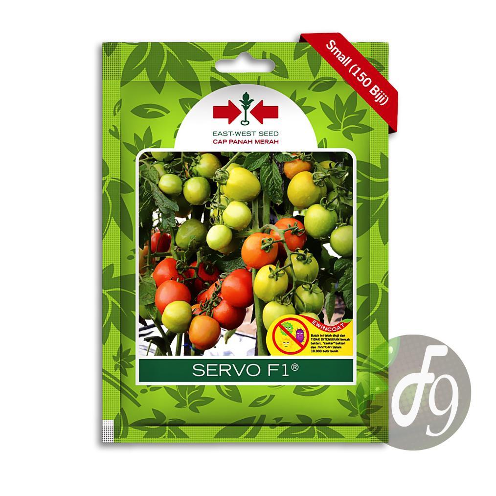 Benih Tomat Hibrida Servo F1 Panah Merah 150 Biji