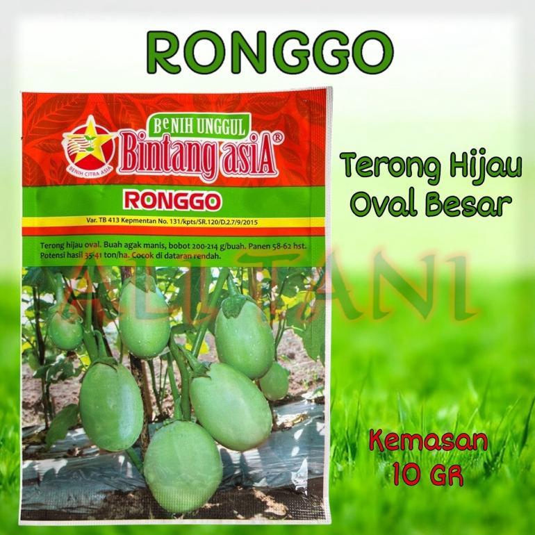 Ronggo Benih Terong Hijau Bulat Besar Exp 21-11-2025