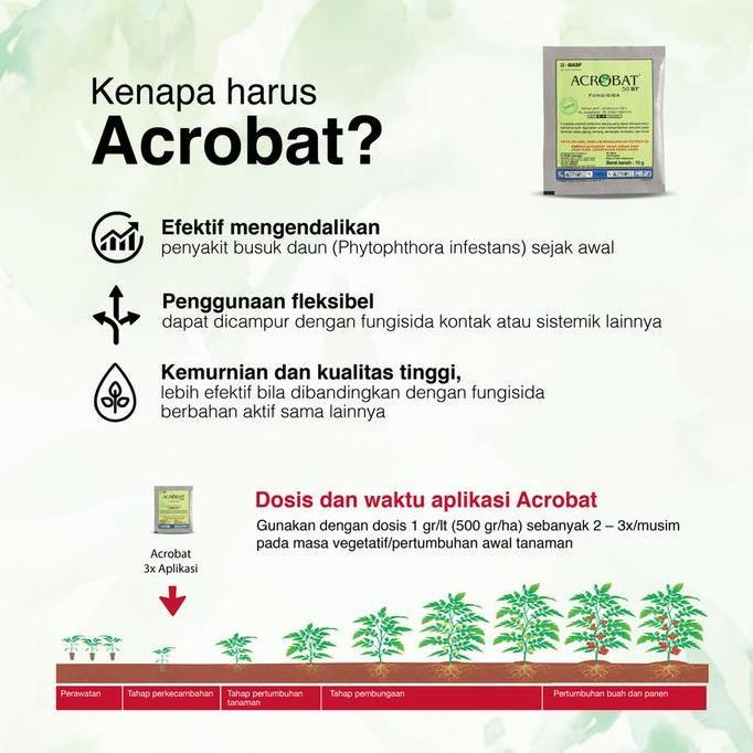 Lansungkirim- Acrobat 50 Wp (40Gr) - Fungisida Sistemik Untuk Layu Fusarium Jamur