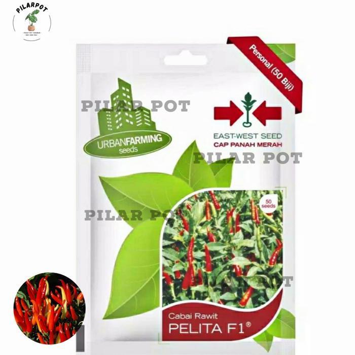 (Ready) Benih Bibit Cabai Rawit Pelita F1 Cap Panah Merah - Cabai Pelita F1 Bestseller