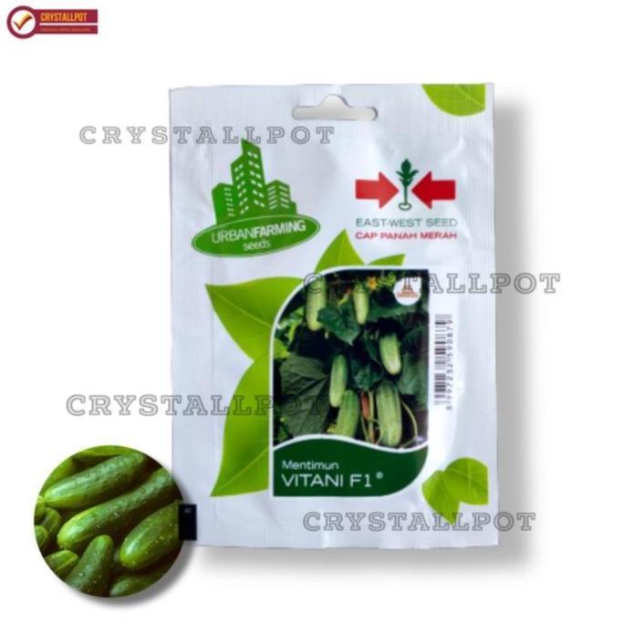 Gardendrm- Benih Bibit Timun Lalap Vitani F1 Cap Panah Merah - Timun Vitani F1