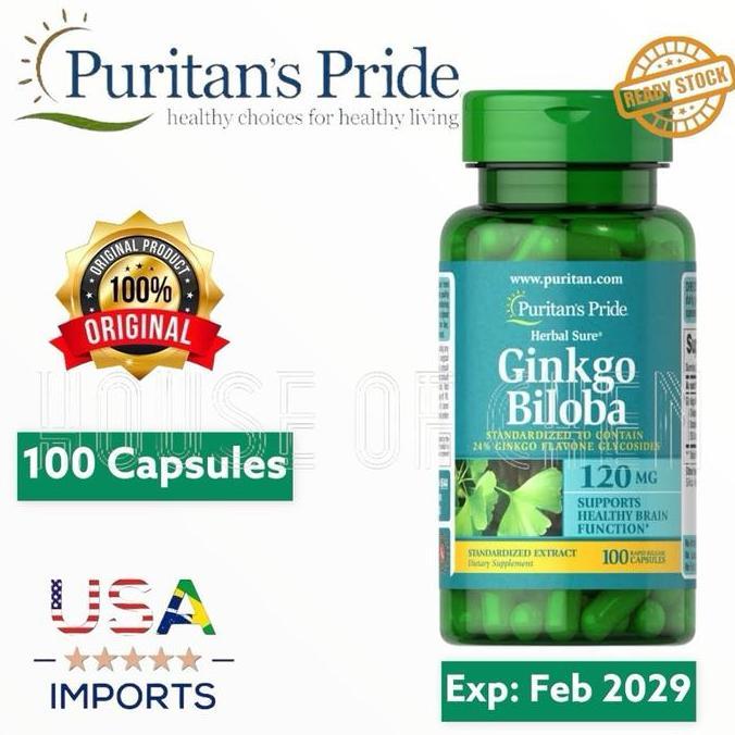 PURITAN PRIDE Ginkgo Biloba 120mg - 120 Caps Puritan's Pride USA
