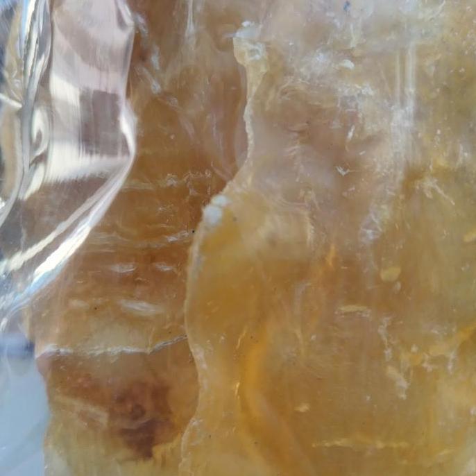 Hipio Perut Ikan/ Gelembung Ikan/ BellyFish Mentah (KAKAP TEBAL) 100gr