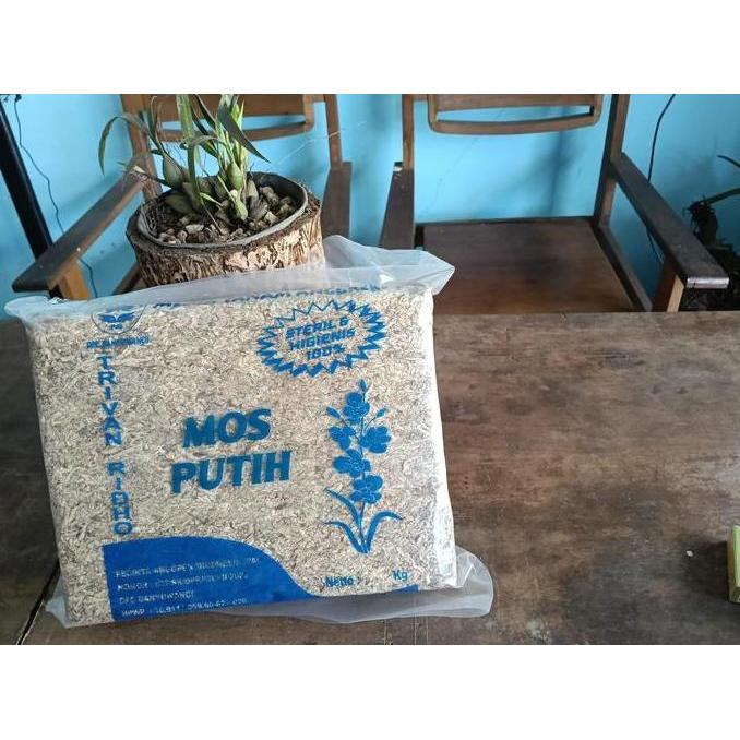 Mos Putih Steril Media Tanam Anggrek (250gr)