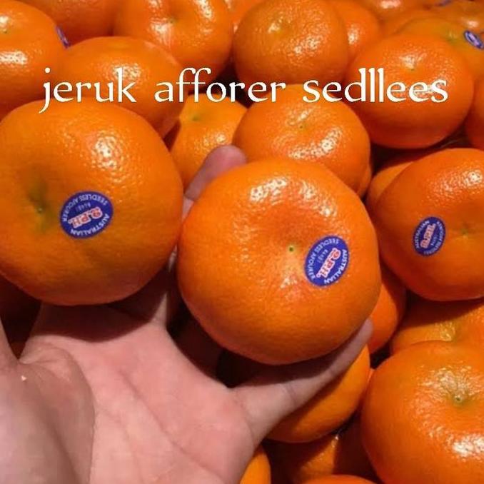 JERUK MANDARIN AFFORER SEDLEES MANIS TANPA BIJI FRESH PER 1KG LC