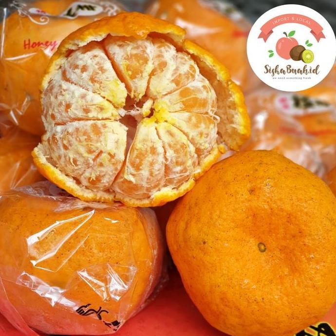JERUK PONKAM HDL | PONKAM HDL SUPER MANIS | JERUK MADARIN JUMBO - HONEY MANDARIN IMPORT LC