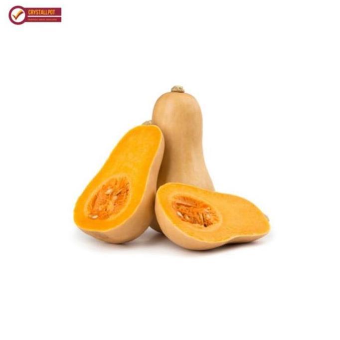 Gardensw- Benih Bibit Labu Madu F1 Cap Panah Merah - Labu Madu F1