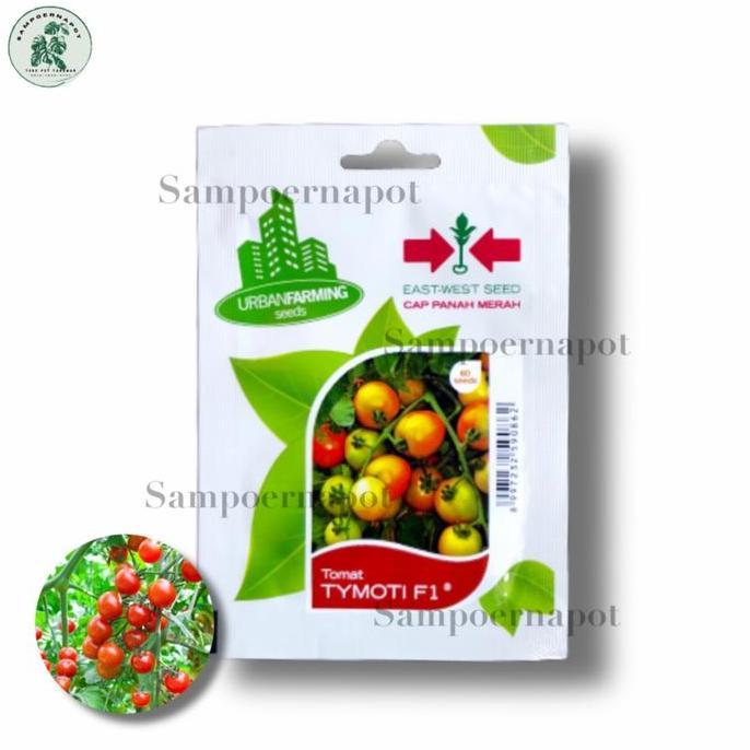 Gardensw- Benih Bibit Tomat Tymoti F1 Cap Panah Merah - Tomat Tymoti F1