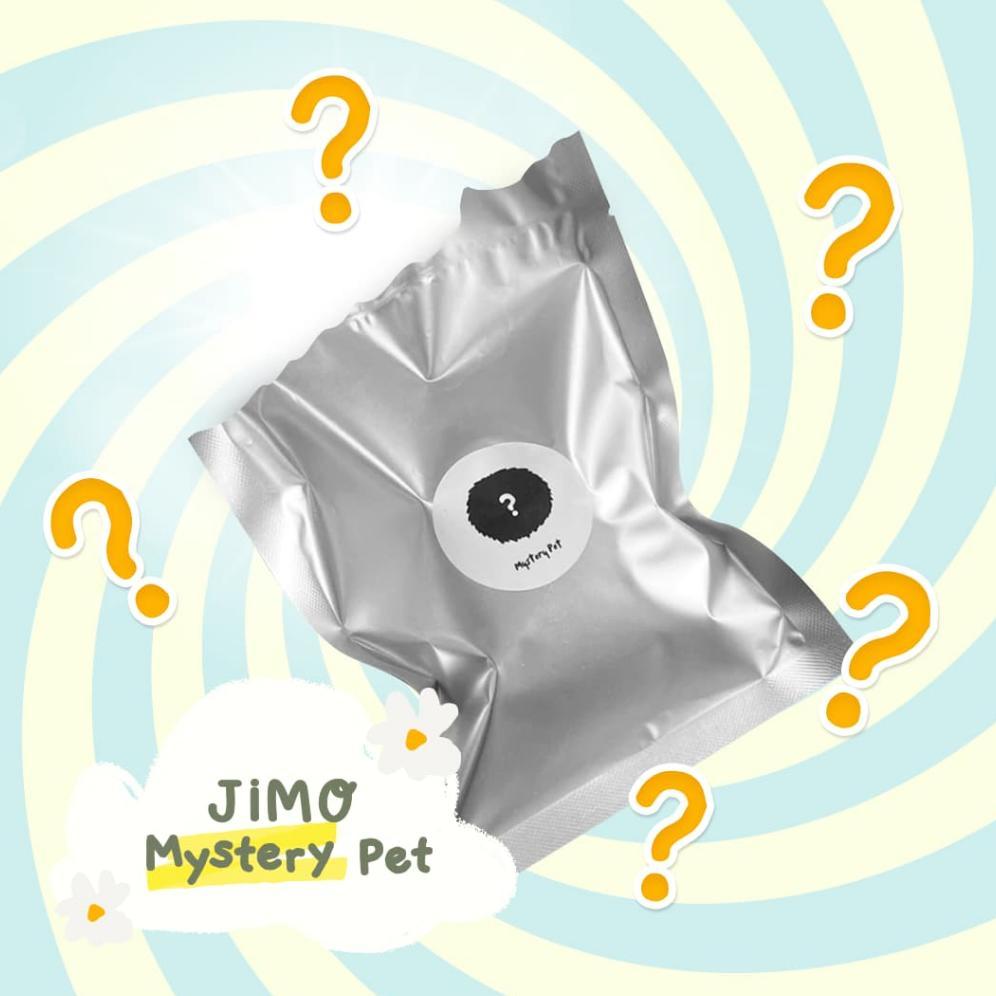LARISS Jimo Mystery Pet-Blind Box - Anxiety BuddyToys _ Bag Charm