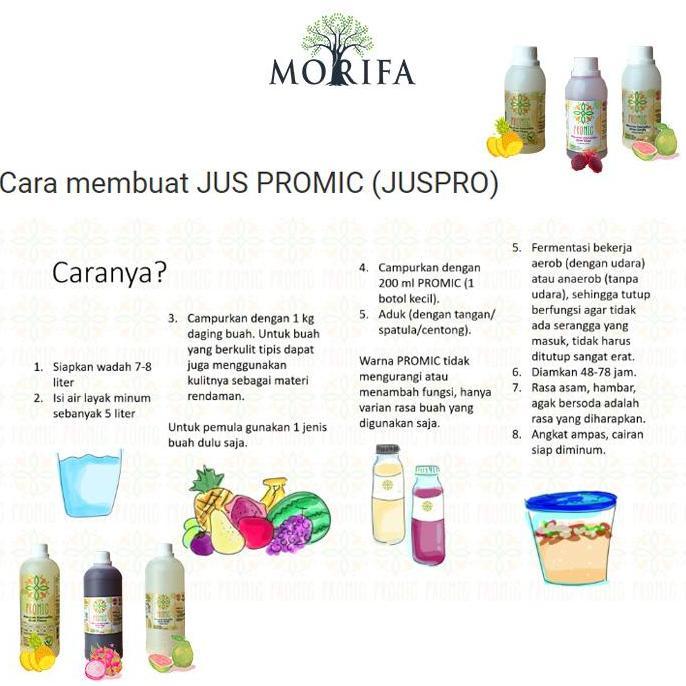 Grildd- Promic Probiotic Microbs/Biang/Starter 1 Liter