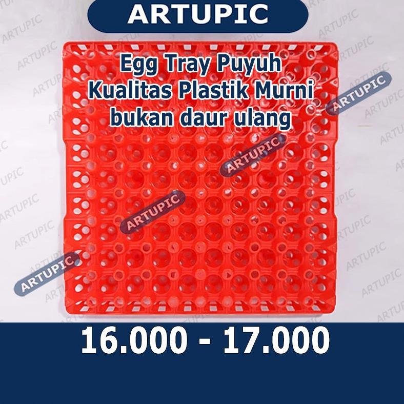 Egg Tray Puyuh Rak Tetas Tempat Telur Burung Puyuh Plastik
