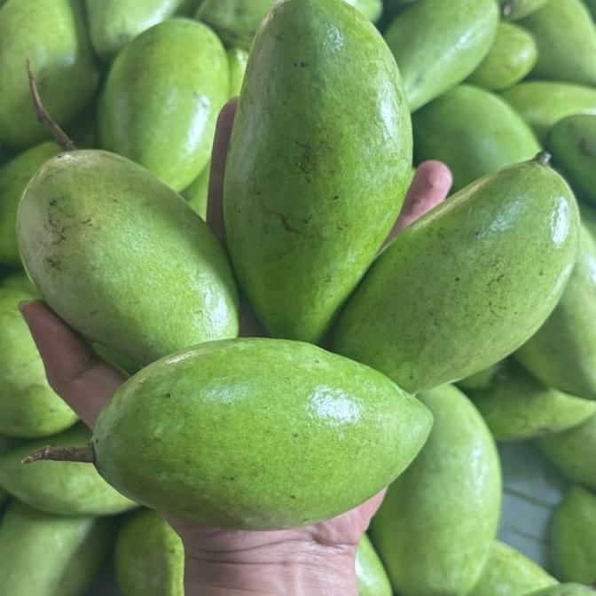 Frutiforti- Mangga Muda Mentah Asam Segar