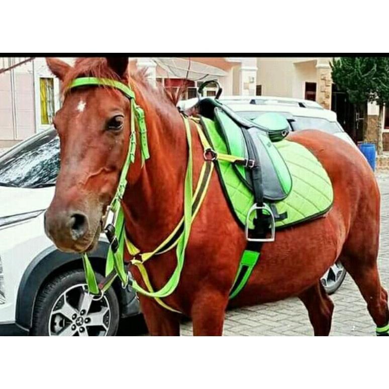 [SF] pelana/sela/plana kuda full set