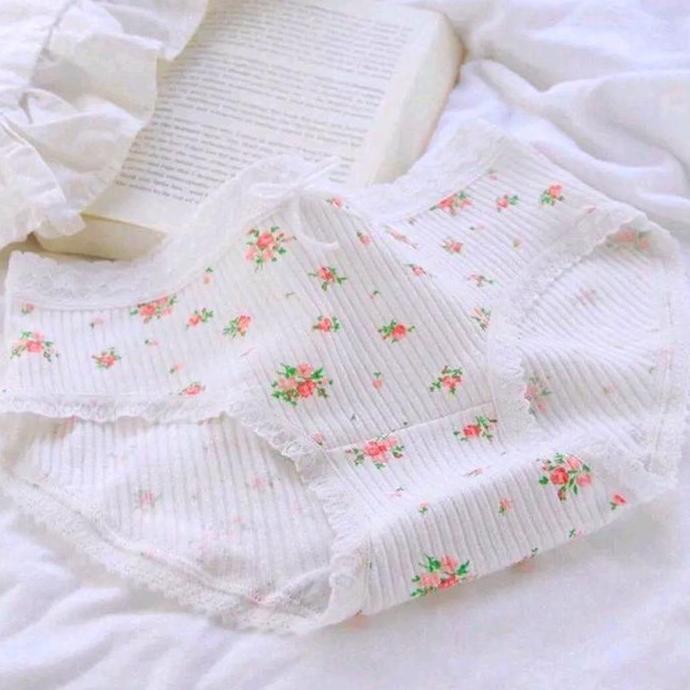 12 Pcs Celana Dalam Cewek wanita Dewasa Remaja Trendy CS033 Katun Spandex motif Lucu Size M L XL XXL