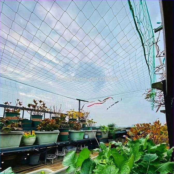 JARING TANAMAN RAMBAT PERMETER MURAH