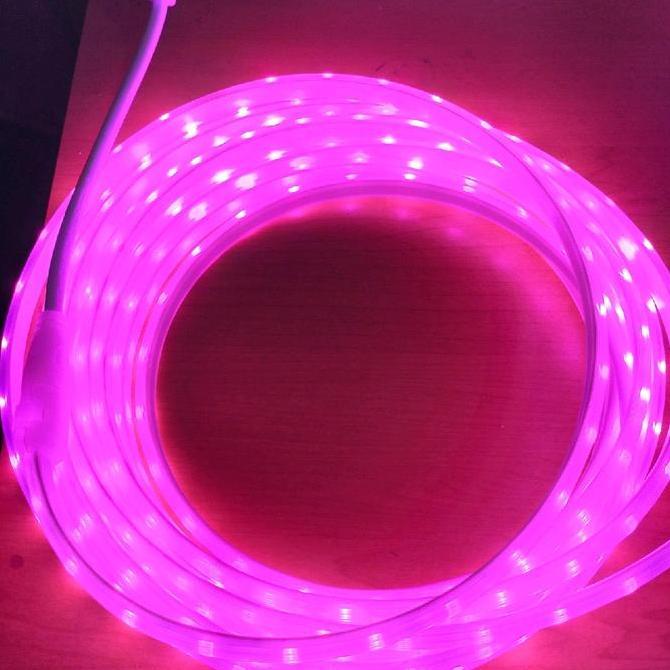 Lightfast- Lampu Led Strip Selang 5050 120Mata Led  Ac 220V Permeteran Outoor Dan Indoor 11M-15M Met
