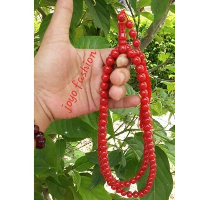 TASBIH GELANG FOSIL BATU MARJAN LAUT MERAH PERSIA