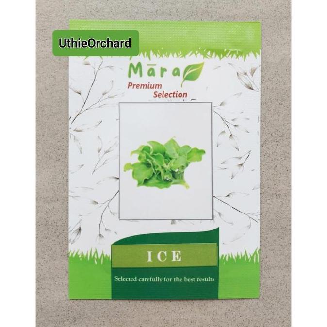 Mara Premium Selection - Benih Crystalline Ice Plant (Ice Lettuce) Ice 100 seeds