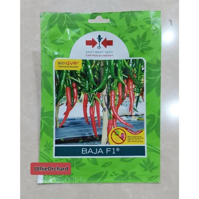 Benih Panah Merah Cabe Merah Besar Baja F1 SP isi 125 Benih