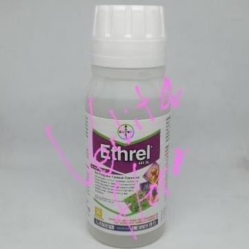 ZPT Ethrel 100ml