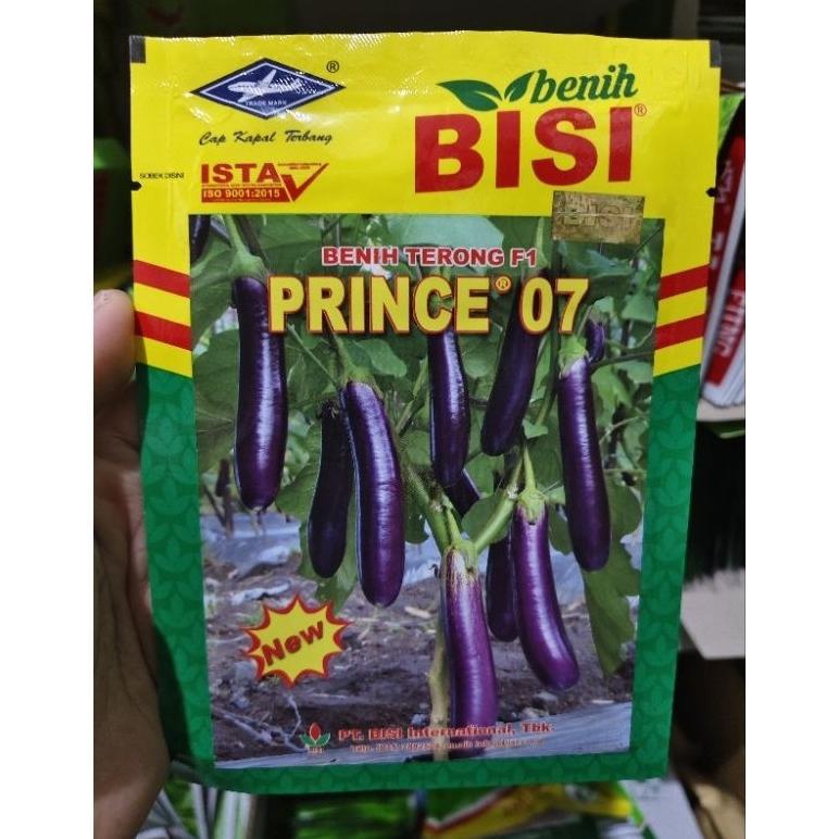 TT99 Benih terong PRINCE 07 10 gram terong ungu prince 07 dari bisi